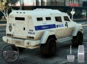 天蝎座警察世界模拟游戏手机版最新版